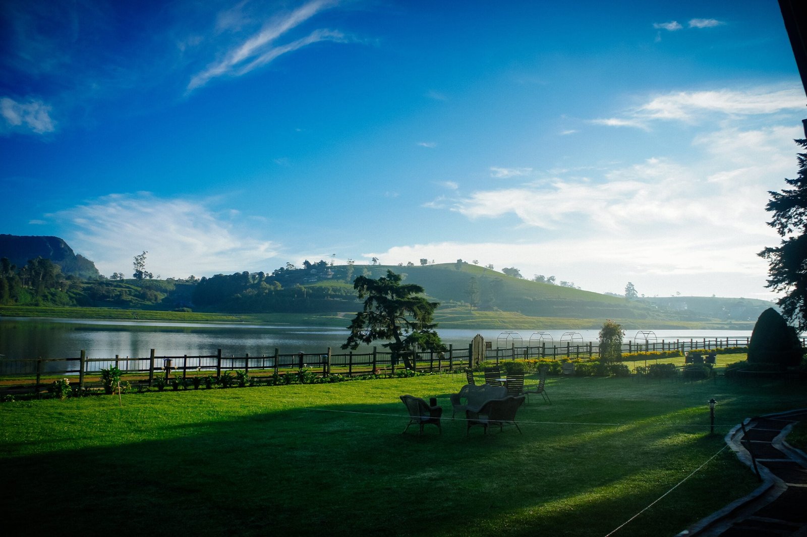 green grass field near body of water under blue sky during daytime