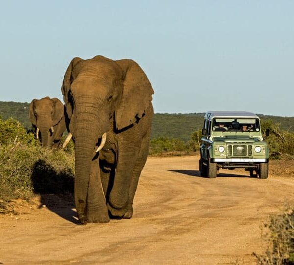 to visit sri lanka