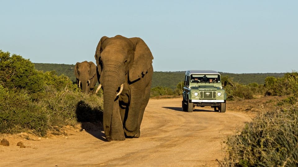 to visit sri lanka