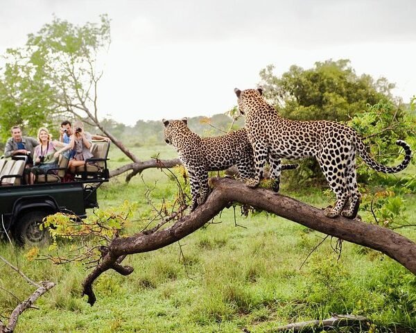 National Park Safari | Lush Sri Lankan Holidays