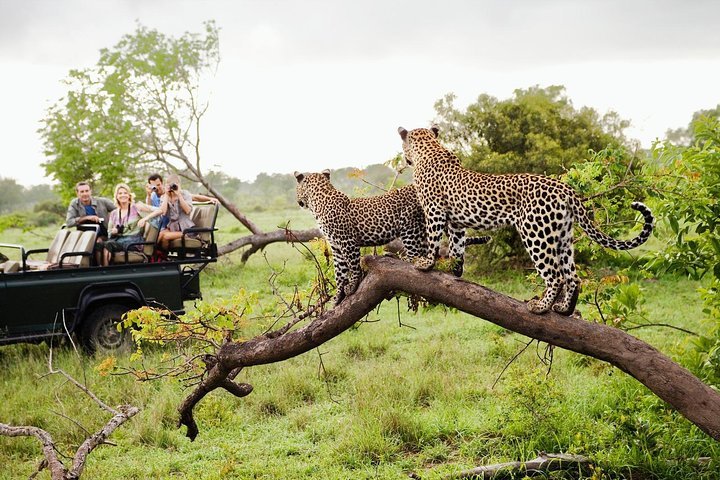 National Park Safari | Lush Sri Lankan Holidays