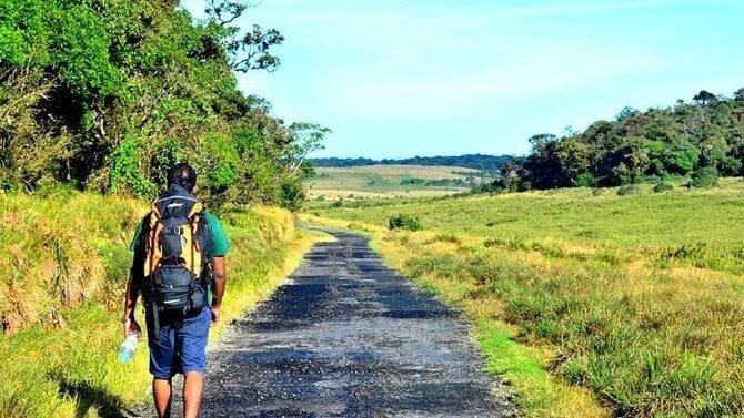 Hiking in Horton Plains | Lush Sri Lankan Holidays