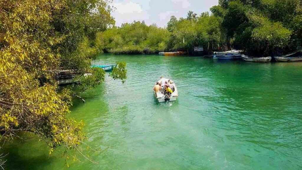 Madu River | Lush Sri Lankan Holidays