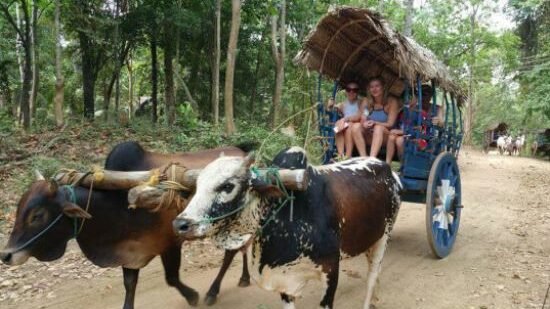 Village Tour and Traditional Lunch | Lush Sri Lankan Holidays